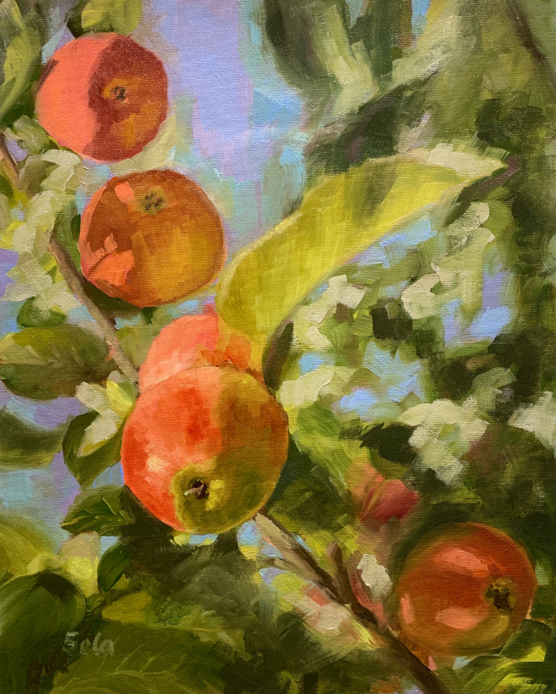 My Best Apples, oil on canvas 15x12in, July 2021 Oil painting featuring a view of the apple tree, an orchard scene.